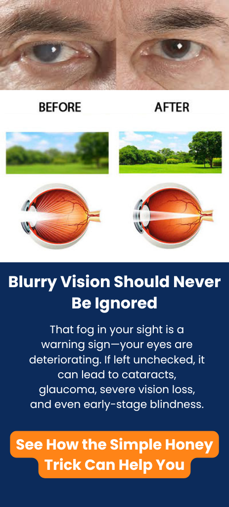 Vision presentation highlight